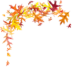 Fall Storage in Massachusetts